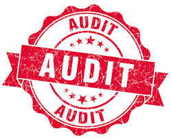 Audit Interview Guidelines